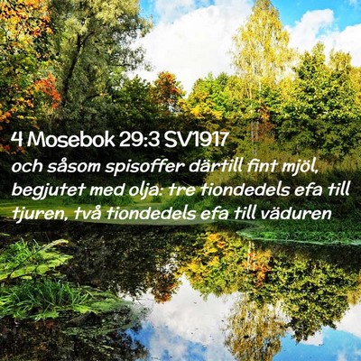 Picture 02 - 4 Mosebok 29:3 SV1917 - och såsom spisoffer därtill fint mjöl, - Bible Verse Picture