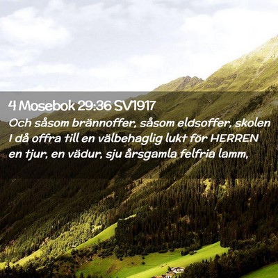 Picture 02 - 4 Mosebok 29:36 SV1917 - Och såsom brännoffer, såsom eldsoffer, skolen - Bible Verse Picture