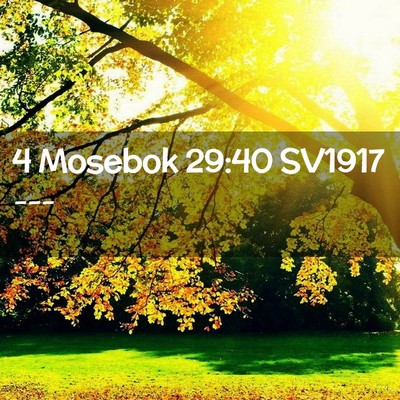 Picture 02 - 4 Mosebok 29:40 SV1917 -  - Bible Verse Picture