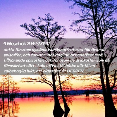 Picture 02 - 4 Mosebok 29:6 SV1917 - detta förutom nymånadsbrännoffret med - Bible Verse Picture