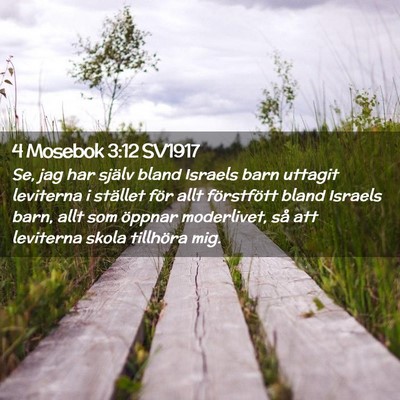 Picture 02 - 4 Mosebok 3:12 SV1917 - Se, jag har själv bland Israels barn uttagit - Bible Verse Picture