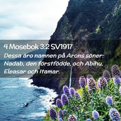 Picture 02 - 4 Mosebok 3:2 SV1917 - Dessa äro namnen på Arons söner: Nadab, den - Bible Verse Picture