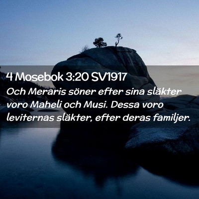 Picture 02 - 4 Mosebok 3:20 SV1917 - Och Meraris söner efter sina släkter voro - Bible Verse Picture