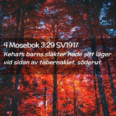 Picture 02 - 4 Mosebok 3:29 SV1917 - Kehats barns släkter hade sitt läger vid sidan - Bible Verse Picture