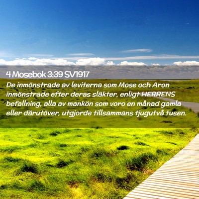 Picture 02 - 4 Mosebok 3:39 SV1917 - De inmönstrade av leviterna som Mose och Aron - Bible Verse Picture