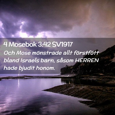 Picture 02 - 4 Mosebok 3:42 SV1917 - Och Mose mönstrade allt förstfött bland - Bible Verse Picture