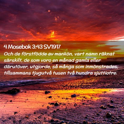 Picture 02 - 4 Mosebok 3:43 SV1917 - Och de förstfödde av mankön, vart namn räknat - Bible Verse Picture