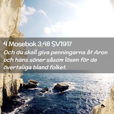 Picture 02 - 4 Mosebok 3:48 SV1917 - Och du skall giva penningarna åt Aron och hans - Bible Verse Picture