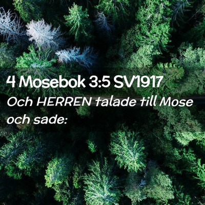 Picture 02 - 4 Mosebok 3:5 SV1917 - Och HERREN talade till Mose och - Bible Verse Picture