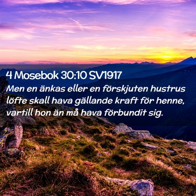 Picture 02 - 4 Mosebok 30:10 SV1917 - Men en änkas eller en förskjuten hustrus löfte - Bible Verse Picture
