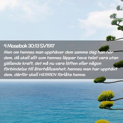 Picture 02 - 4 Mosebok 30:13 SV1917 - Men om hennes man upphäver dem samma dag han - Bible Verse Picture