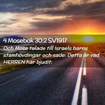 Picture 02 - 4 Mosebok 30:2 SV1917 - Och Mose talade till Israels barns stamhövdingar - Bible Verse Picture