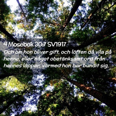 Picture 02 - 4 Mosebok 30:7 SV1917 - Och om hon bliver gift, och löften då vila på - Bible Verse Picture