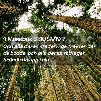 Picture 02 - 4 Mosebok 31:10 SV1917 - Och alla deras städer, i de trakter där de - Bible Verse Picture