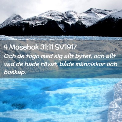 Picture 02 - 4 Mosebok 31:11 SV1917 - Och de togo med sig allt bytet, och allt vad de - Bible Verse Picture