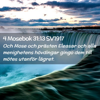 Picture 02 - 4 Mosebok 31:13 SV1917 - Och Mose och prästen Eleasar och alla - Bible Verse Picture