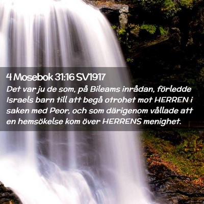 Picture 02 - 4 Mosebok 31:16 SV1917 - Det var ju de som, på Bileams inrådan, - Bible Verse Picture