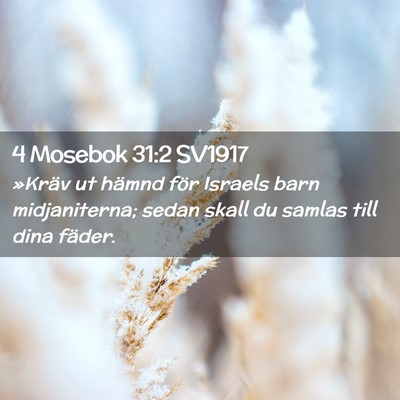 Picture 02 - 4 Mosebok 31:2 SV1917 - »Kräv ut hämnd för Israels barn midjaniterna; - Bible Verse Picture