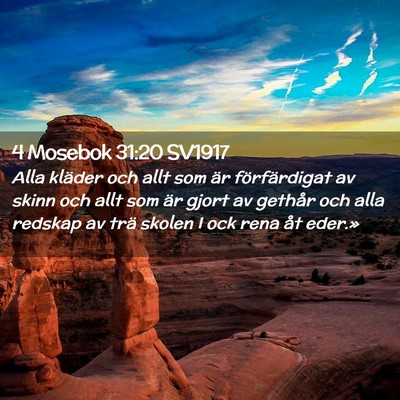 Picture 02 - 4 Mosebok 31:20 SV1917 - Alla kläder och allt som är förfärdigat av - Bible Verse Picture