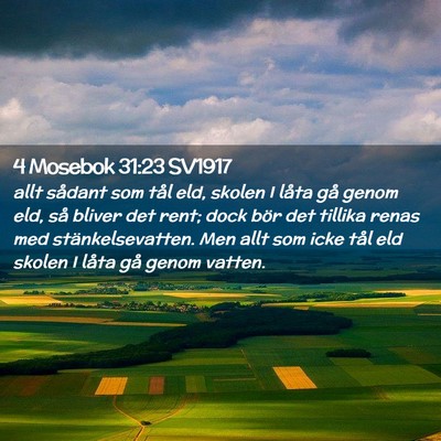 Picture 02 - 4 Mosebok 31:23 SV1917 - allt sådant som tål eld, skolen I låta gå - Bible Verse Picture