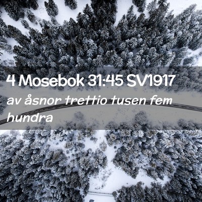 Picture 02 - 4 Mosebok 31:45 SV1917 - av åsnor trettio tusen fem - Bible Verse Picture