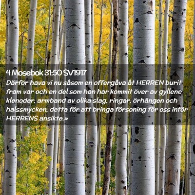Picture 02 - 4 Mosebok 31:50 SV1917 - Därför hava vi nu såsom en offergåva åt - Bible Verse Picture