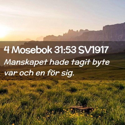 Picture 02 - 4 Mosebok 31:53 SV1917 - Manskapet hade tagit byte var och en för - Bible Verse Picture