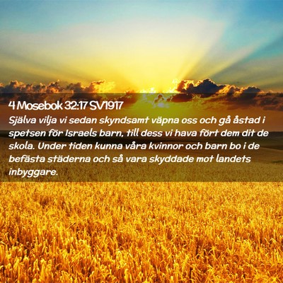 Picture 02 - 4 Mosebok 32:17 SV1917 - Själva vilja vi sedan skyndsamt väpna oss och - Bible Verse Picture