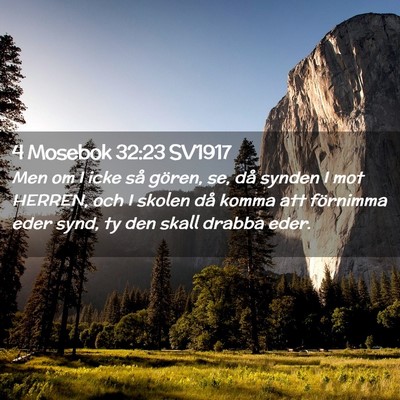 Picture 02 - 4 Mosebok 32:23 SV1917 - Men om I icke så gören, se, då synden I mot - Bible Verse Picture