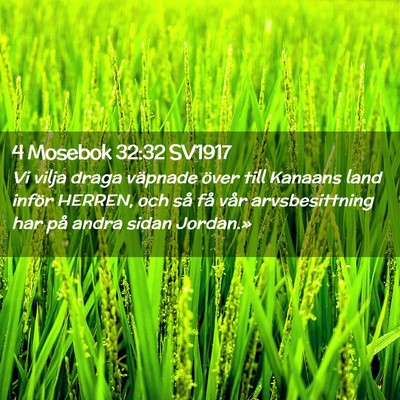 Picture 02 - 4 Mosebok 32:32 SV1917 - Vi vilja draga väpnade över till Kanaans land - Bible Verse Picture