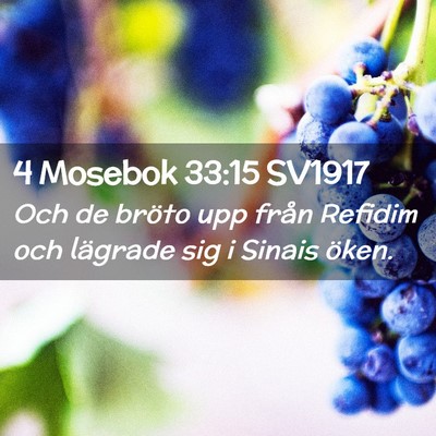 Picture 02 - 4 Mosebok 33:15 SV1917 - Och de bröto upp från Refidim och lägrade sig - Bible Verse Picture