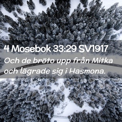 Picture 02 - 4 Mosebok 33:29 SV1917 - Och de bröto upp från Mitka och lägrade sig i - Bible Verse Picture