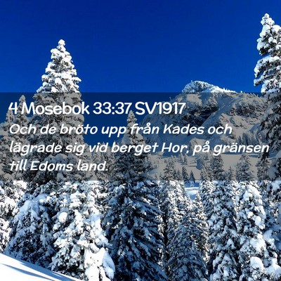 Picture 02 - 4 Mosebok 33:37 SV1917 - Och de bröto upp från Kades och lägrade sig - Bible Verse Picture