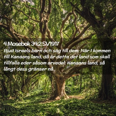Picture 02 - 4 Mosebok 34:2 SV1917 - Bjud Israels barn och säg till dem: När I - Bible Verse Picture