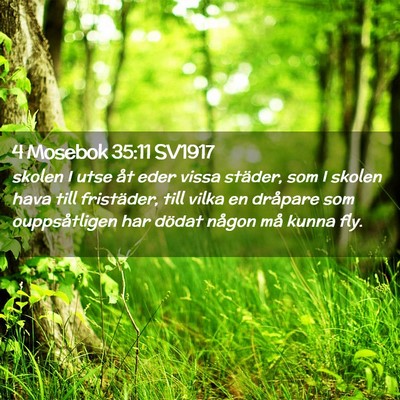 Picture 02 - 4 Mosebok 35:11 SV1917 - skolen I utse åt eder vissa städer, som I - Bible Verse Picture