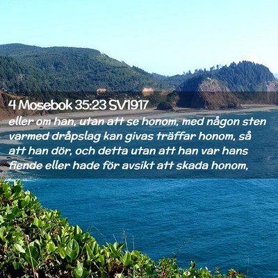 Picture 02 - 4 Mosebok 35:23 SV1917 - eller om han, utan att se honom, med någon sten - Bible Verse Picture