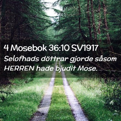 Picture 02 - 4 Mosebok 36:10 SV1917 - Selofhads döttrar gjorde såsom HERREN hade - Bible Verse Picture