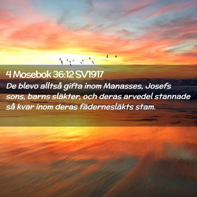 Picture 02 - 4 Mosebok 36:12 SV1917 - De blevo alltså gifta inom Manasses, Josefs - Bible Verse Picture
