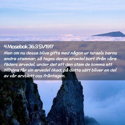 Picture 02 - 4 Mosebok 36:3 SV1917 - Men om nu dessa bliva gifta med någon ur Israels - Bible Verse Picture