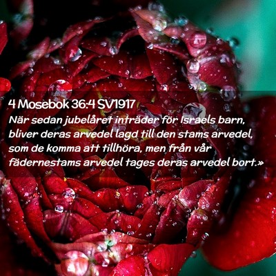 Picture 02 - 4 Mosebok 36:4 SV1917 - När sedan jubelåret inträder för Israels - Bible Verse Picture