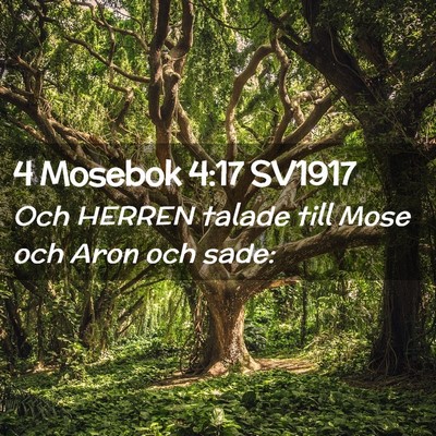 Picture 02 - 4 Mosebok 4:17 SV1917 - Och HERREN talade till Mose och Aron och - Bible Verse Picture