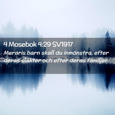 Picture 02 - 4 Mosebok 4:29 SV1917 - Meraris barn skall du inmönstra, efter deras - Bible Verse Picture
