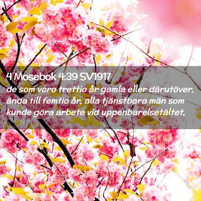 Picture 02 - 4 Mosebok 4:39 SV1917 - de som voro trettio år gamla eller därutöver, - Bible Verse Picture