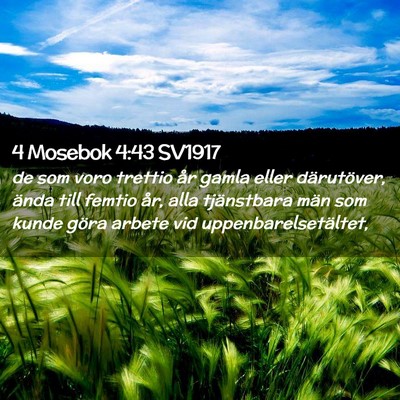 Picture 02 - 4 Mosebok 4:43 SV1917 - de som voro trettio år gamla eller därutöver, - Bible Verse Picture