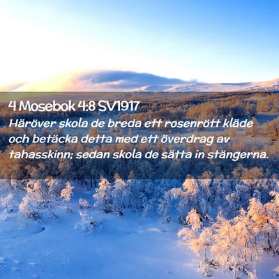 Picture 02 - 4 Mosebok 4:8 SV1917 - Häröver skola de breda ett rosenrött kläde - Bible Verse Picture