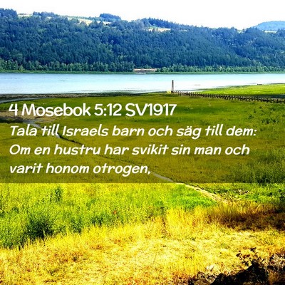 Picture 02 - 4 Mosebok 5:12 SV1917 - Tala till Israels barn och säg till dem: Om en - Bible Verse Picture