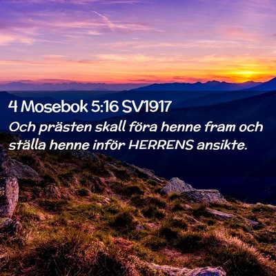 Picture 02 - 4 Mosebok 5:16 SV1917 - Och prästen skall föra henne fram och ställa - Bible Verse Picture