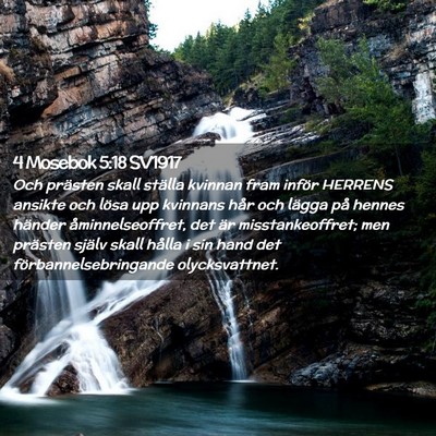 Picture 02 - 4 Mosebok 5:18 SV1917 - Och prästen skall ställa kvinnan fram inför - Bible Verse Picture