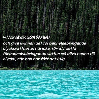 Picture 02 - 4 Mosebok 5:24 SV1917 - och giva kvinnan det förbannelsebringande - Bible Verse Picture