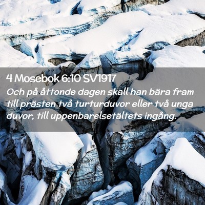 Picture 02 - 4 Mosebok 6:10 SV1917 - Och på åttonde dagen skall han bära fram till - Bible Verse Picture